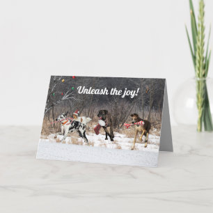 Festiva Perros con tarjeta de navidades