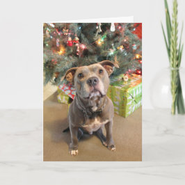 Festiva Pitbull quiero una tarjeta de Navidades actuales
