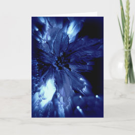 Festiva Pointsetta azul que brilla intensamente en tarjeta