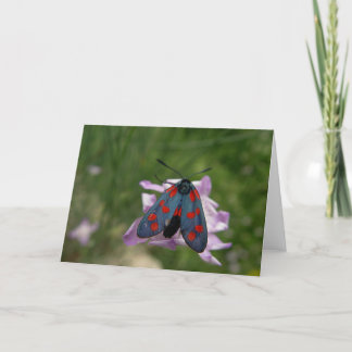 Festiva Polilla de la tarjeta del día de San Valentín