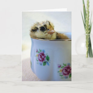 Festiva Pollito Easter Egger en Taza Tarjeta de Felicitaci