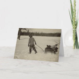 Festiva Pollos en tarjeta del día de fiesta de la nieve