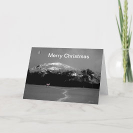 Festiva Pony espiritual bajo la tarjeta de Navidades de la