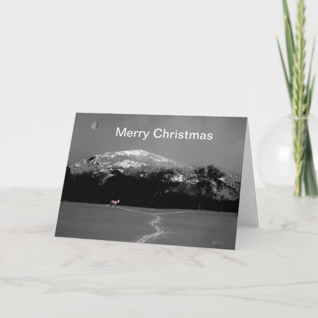 Festiva Pony espiritual bajo la tarjeta de Navidades de la (Anverso)