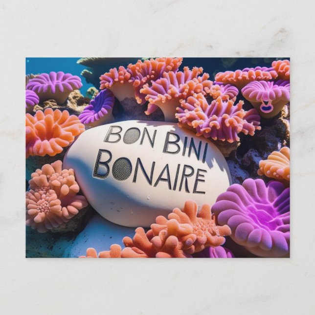 Festiva postal Bon bini bonaire (Anverso)