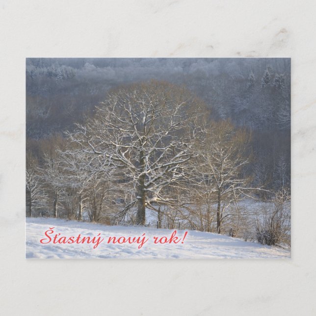 Festiva Postal checa del Año Nuevo (Anverso)