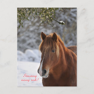 Festiva Postal de Año Nuevo checo para caballos