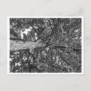 Festiva Postal de árbol de roble