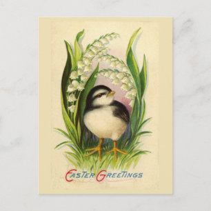 Festiva Postal de avispaje para aves de Pascua