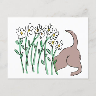 Festiva Postal de ayuda al jardín (perro en las margaritas