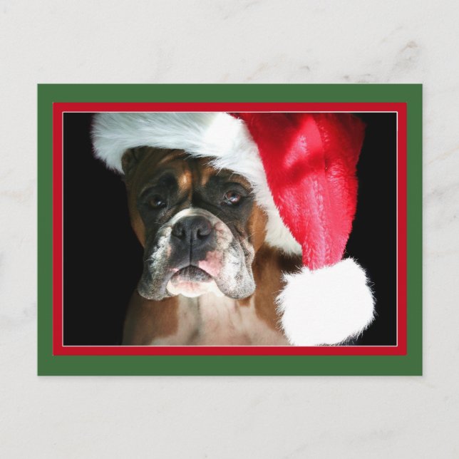 Festiva postal de Boxer Dog para navidades (Anverso)