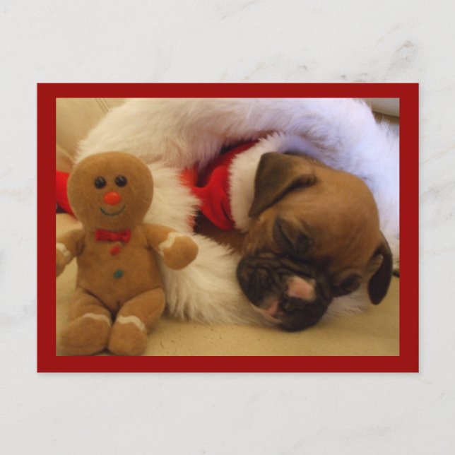 Festiva Postal de Boxer Puppy Navidades con sueño (Anverso)