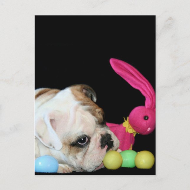 Festiva postal de Bulldog de Pascua (Anverso)