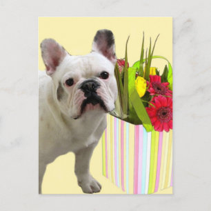 Festiva Postal de Bulldog francés de Pascua