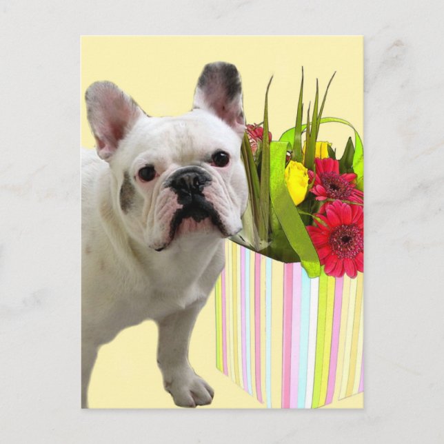 Festiva Postal de Bulldog francés de Pascua (Anverso)