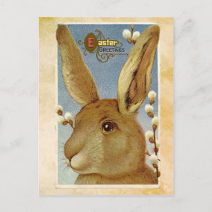 Festiva Postal de conejito de Pascua