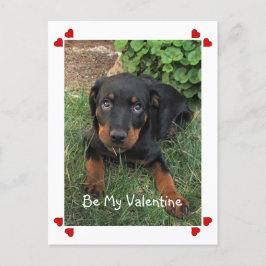 Festiva Postal de El día de San Valentín de amor de pipa