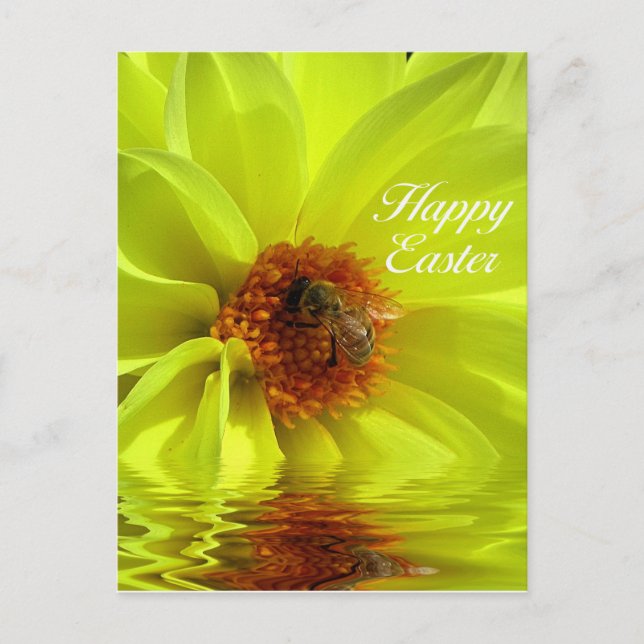 Festiva Postal de Feliz Pascua (Anverso)