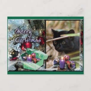 Festiva Postal de Geoffroy Cat Navidades