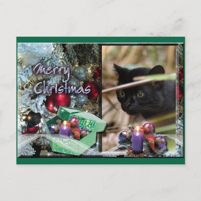 Festiva Postal de Geoffroy Cat Navidades (Anverso)
