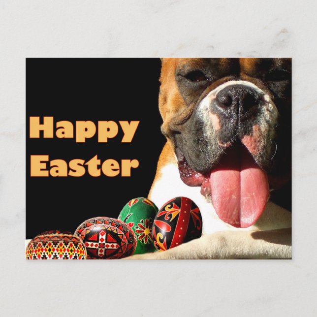 Festiva Postal de Happy Easter Boxer Dog (Anverso)