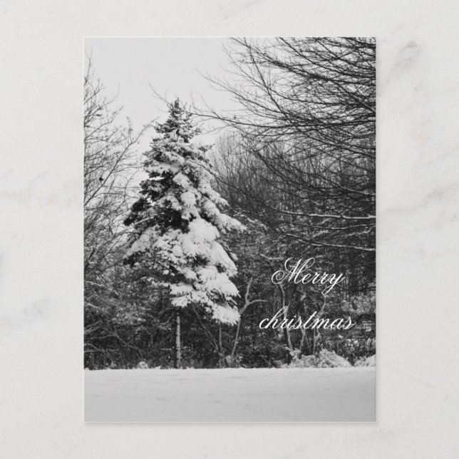 Festiva Postal de invierno (Anverso)