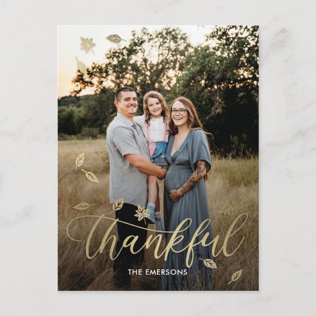 Festiva Postal de la foto del Día de Acción de Gracias Fel (Anverso)