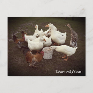 Festiva Postal de la hora de la cena divertida para pollos