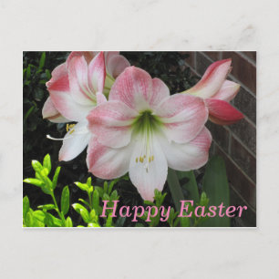 Festiva Postal de Lily Rosa Feliz Pascua