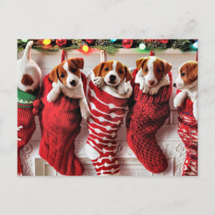 Festiva postal de los cachorros navideños