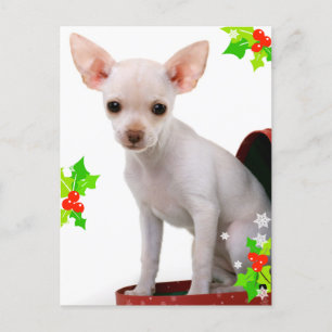 Festiva Postal de los Navidades de Chihuahua