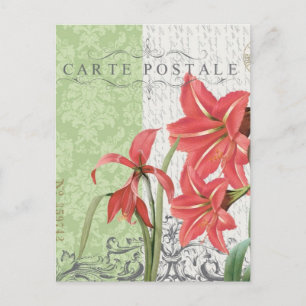 Festiva Postal de Navidad-Amaryllis vintage
