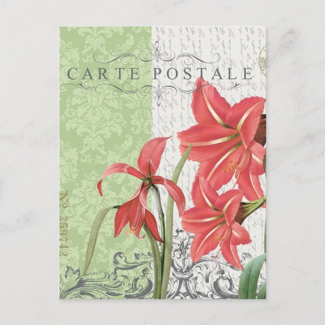 Festiva Postal de Navidad-Amaryllis vintage (Anverso)