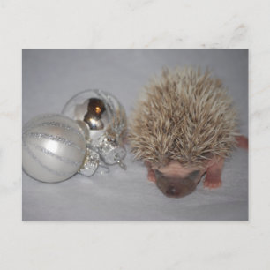 Festiva Postal de Navidades de Baby Hedgehog