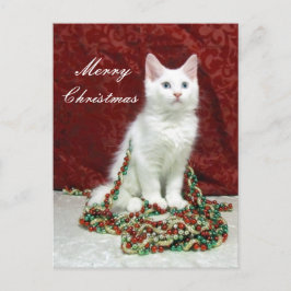 Festiva Postal de Navidades de Bianca - Gato / Gatito