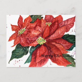 Festiva Postal de Navidades de Poinsettia
