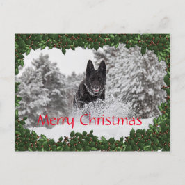 Festiva Postal de Navidades personalizados con perro negro