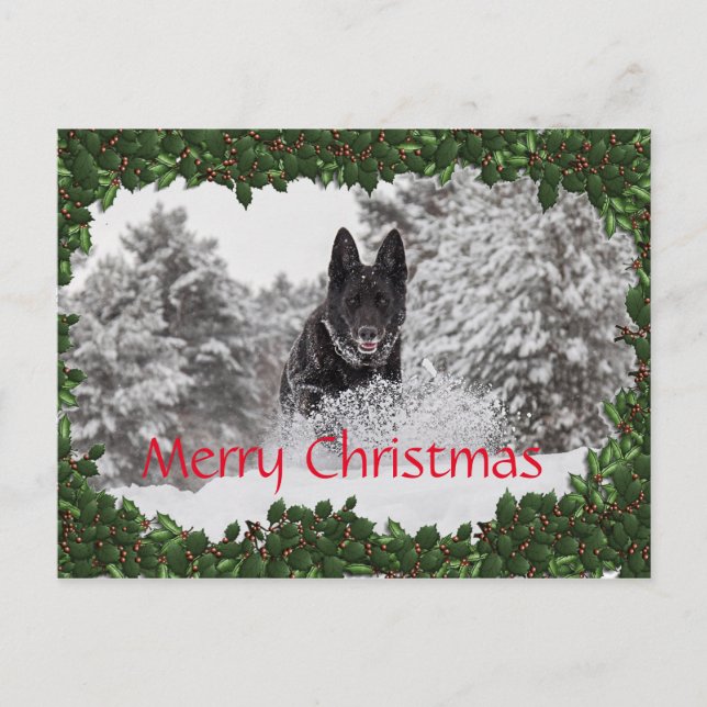 Festiva Postal de Navidades personalizados con perro negro (Anverso)