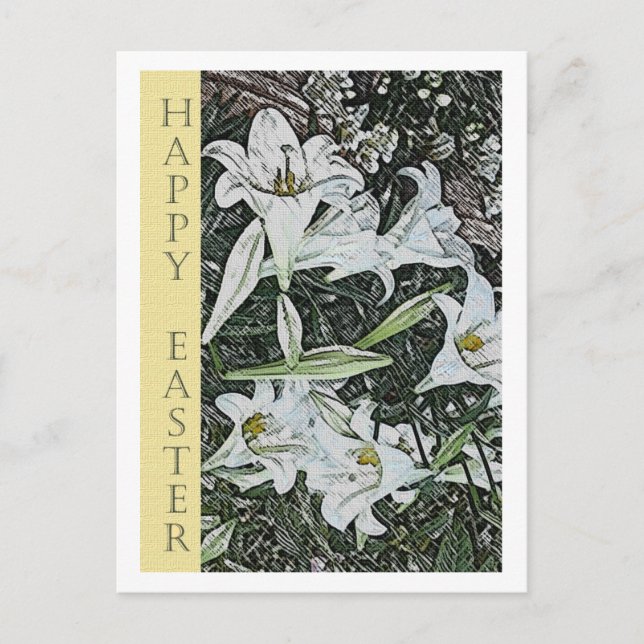 Festiva Postal de Pascua Blanca Lilies (Anverso)