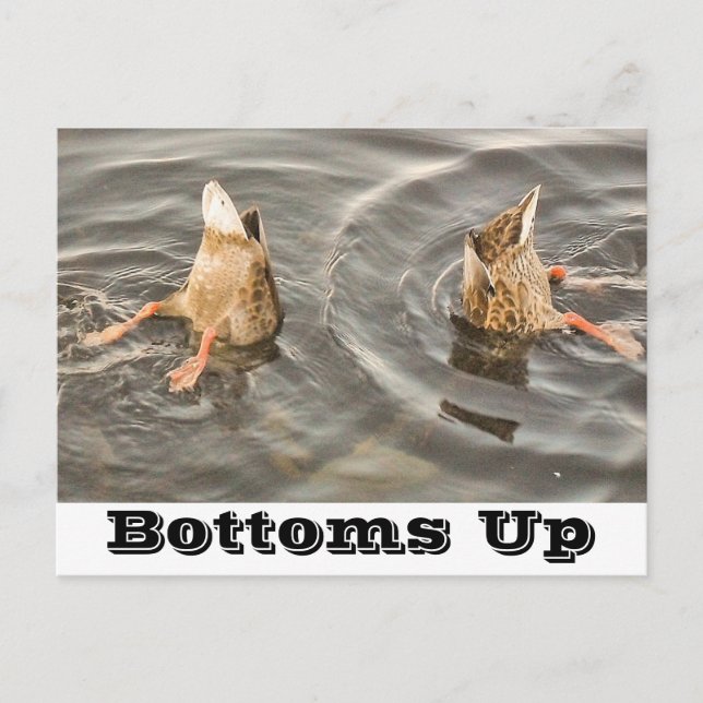 Festiva Postal de pato (Anverso)