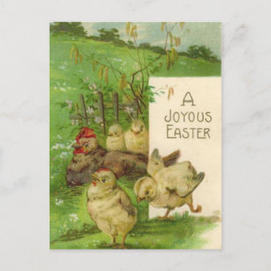 Festiva Postal de pollitas de vacaciones de Pascua