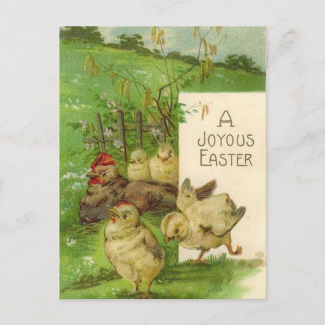 Festiva Postal de pollitas de vacaciones de Pascua (Anverso)
