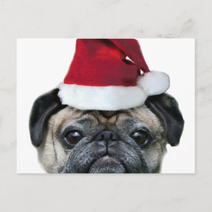 Festiva postal de pug de navidades