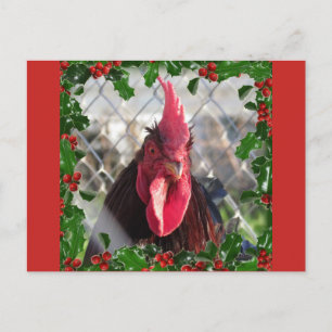 Festiva Postal de Rooster Holly Navidades