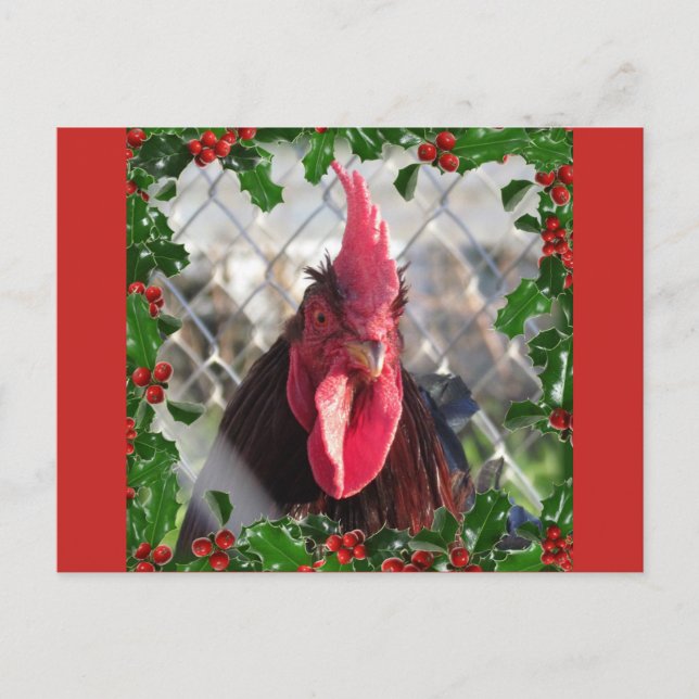 Festiva Postal de Rooster Holly Navidades (Anverso)