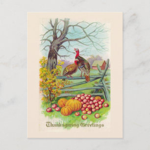 Festiva Postal de "Saludos de Acción de Gracias"