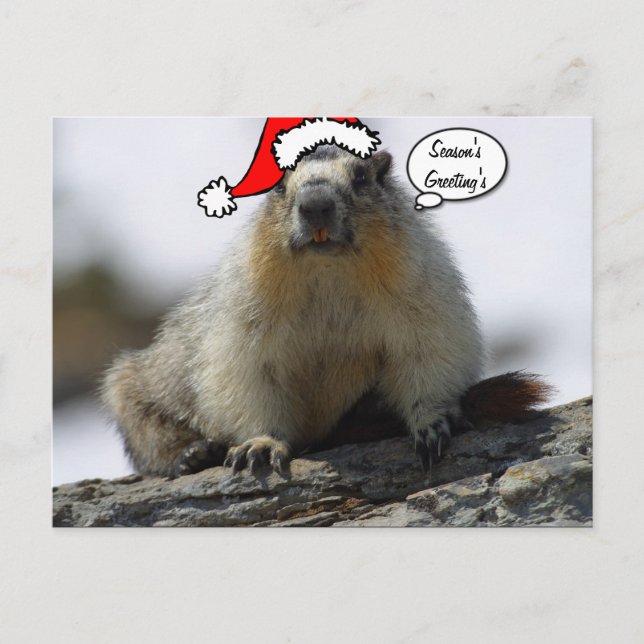 Festiva postal de Santa Squirrel (Anverso)