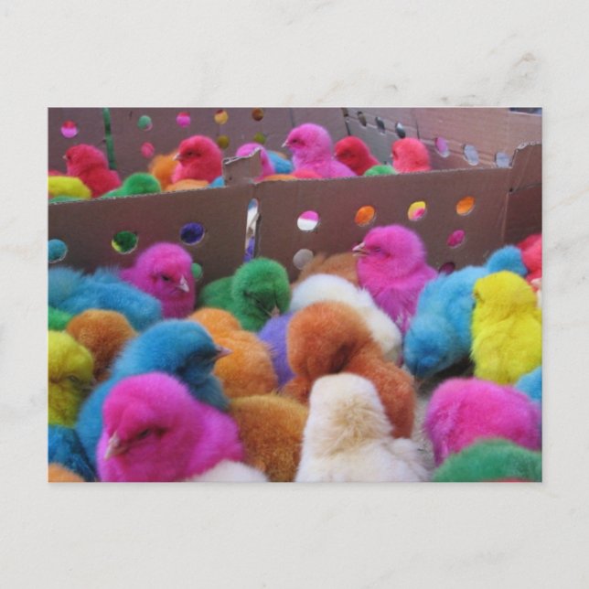 Festiva postal de Semana Santa (Anverso)