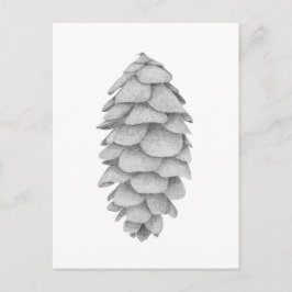 Festiva postal de vacaciones de White Spruce Cone
