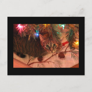 Festiva postal del árbol de navidades